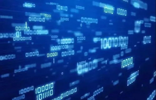 计算机信息管理与云计算装备技术服务 数字化时代的专科双星